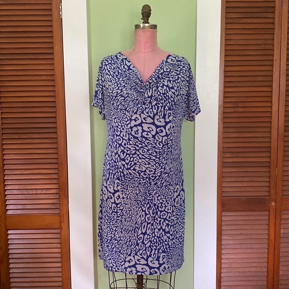 Cowl Neck Dress